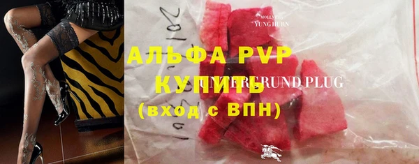 стафф Арсеньев