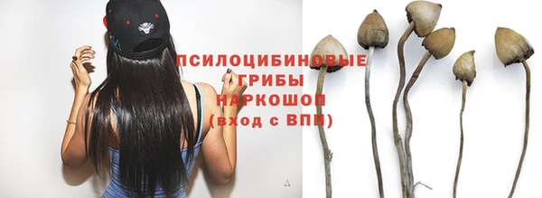 стафф Арсеньев