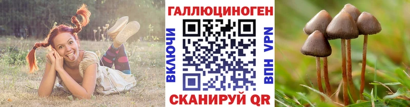 Псилоцибиновые грибы Magic Shrooms  Купить  Яровое 