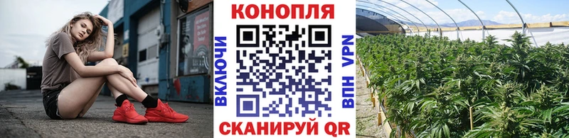 Купить где  Яровое  Бошки марихуана Ganja 